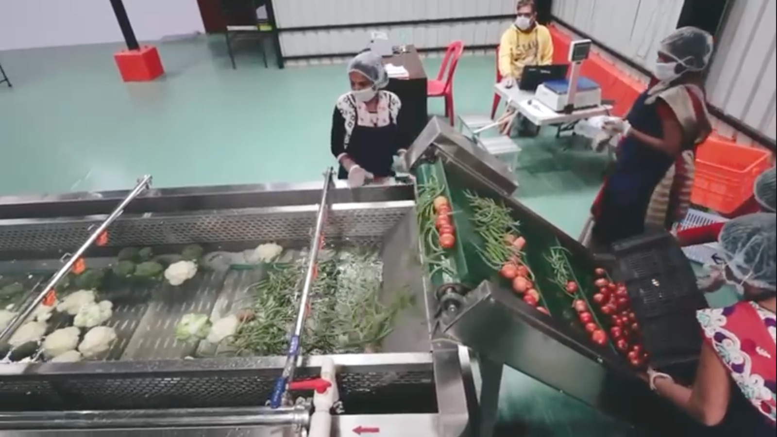 WhatsApp Image 2025-07-31 at 11.49.14.jpeg